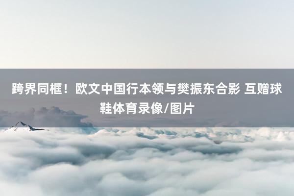 跨界同框！欧文中国行本领与樊振东合影 互赠球鞋体育录像/图片